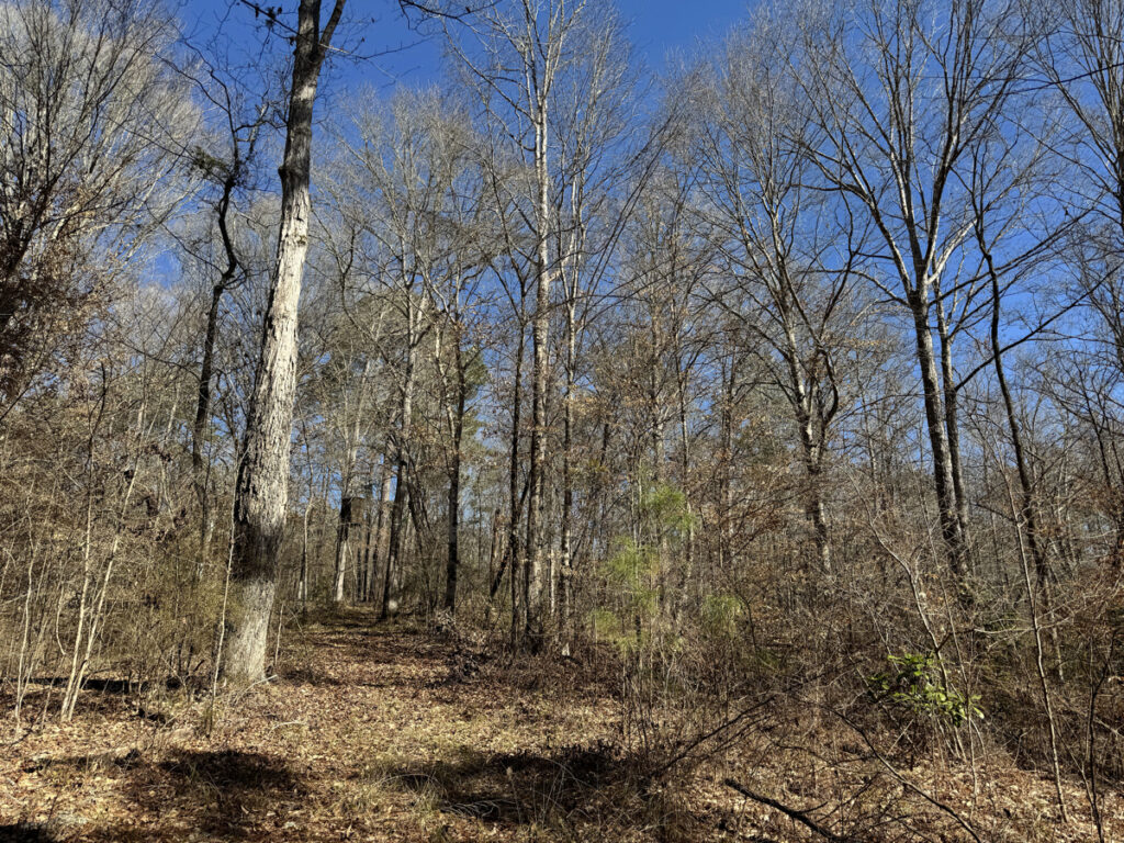 285467d6-5993-4423-a18c-dca437529787.jpg