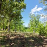 Property photo for land for sale in St. Clair County Missouri