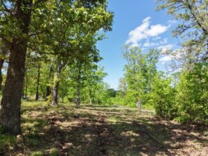 Property photo for land for sale in St. Clair County Missouri