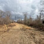 Property photo for land for sale in Allen County Louisiana