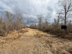 Property photo for land for sale in Allen County Louisiana