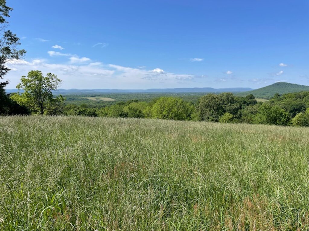 Property photo for land for sale in Searcy County Arkansas