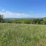 Property photo for land for sale in Searcy County Arkansas
