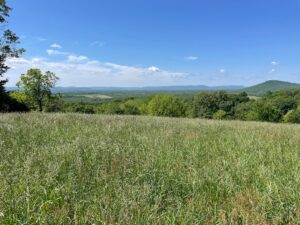 Property photo for land for sale in Searcy County Arkansas