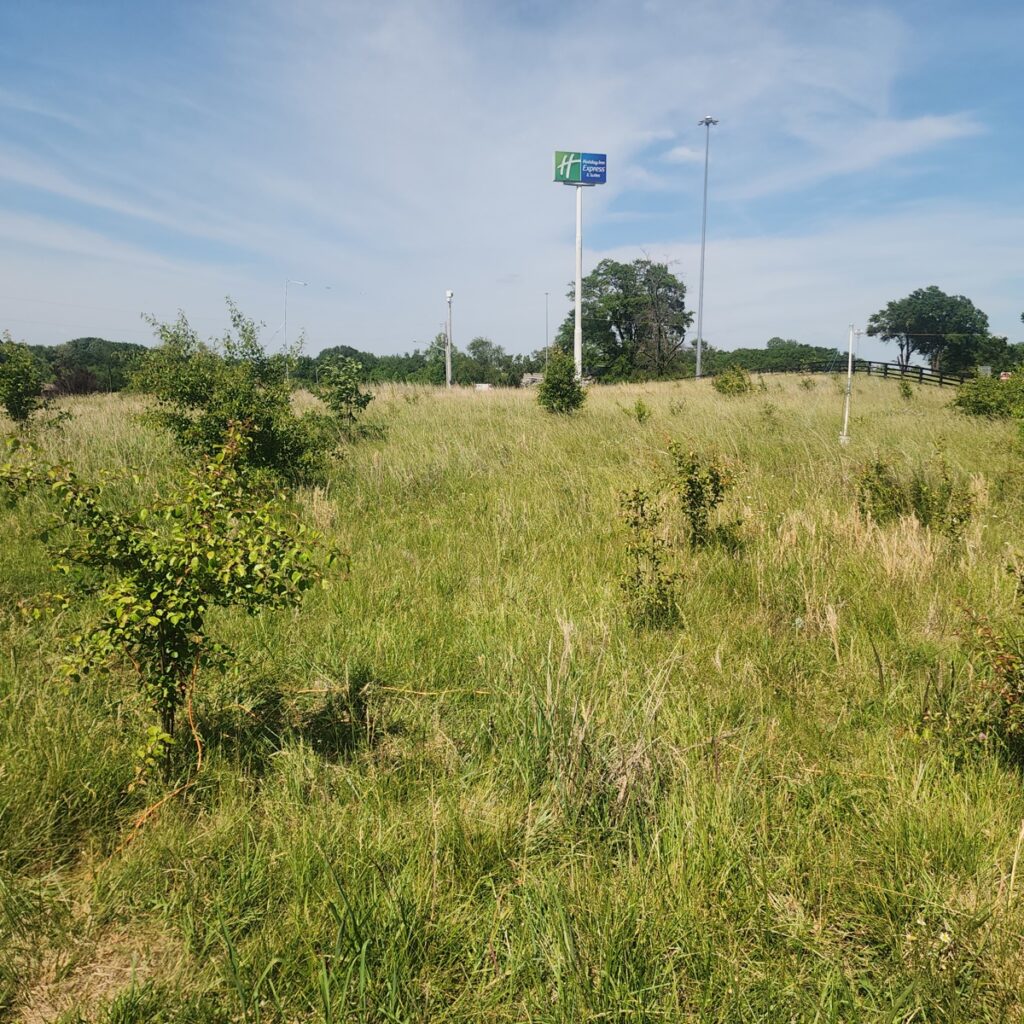 Property photo for land for sale in Simpson County Kentucky