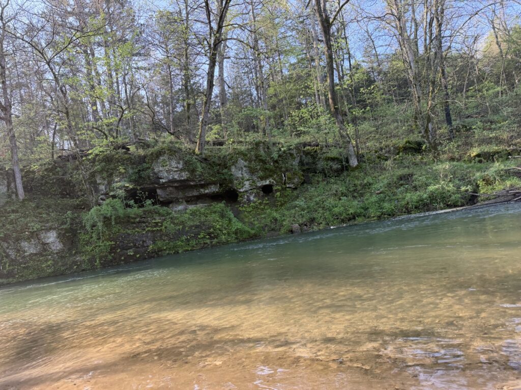 29fd70ed-dd1d-4933-872e-804d29c1df6a.jpg