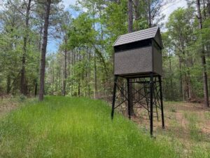 Property photo for land for sale in Winn County Louisiana