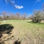 Property photo for land for sale in Montmorency County Michigan