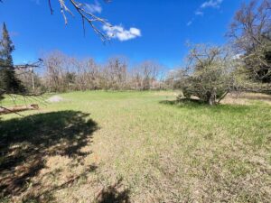 Property photo for land for sale in Montmorency County Michigan