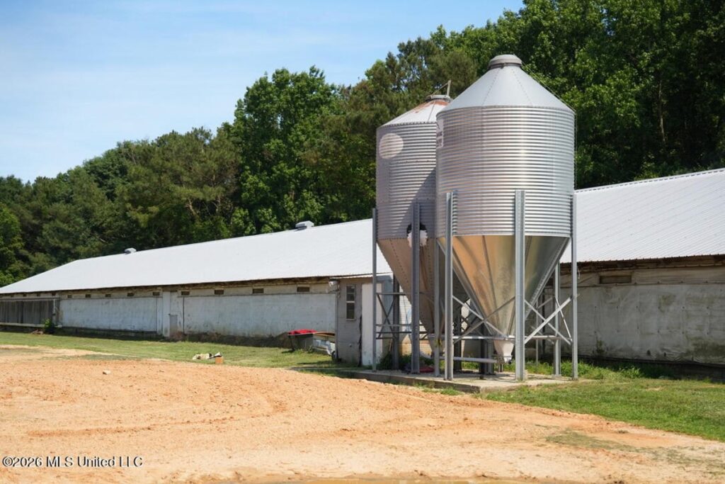 2cdfb028-eeaf-43e4-ac21-59c9ee6ea996.jpg
