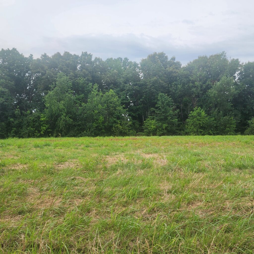 Property photo for land for sale in Logan County Kentucky