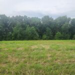 Property photo for land for sale in Logan County Kentucky