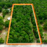 Property photo for land for sale in Madison County Florida