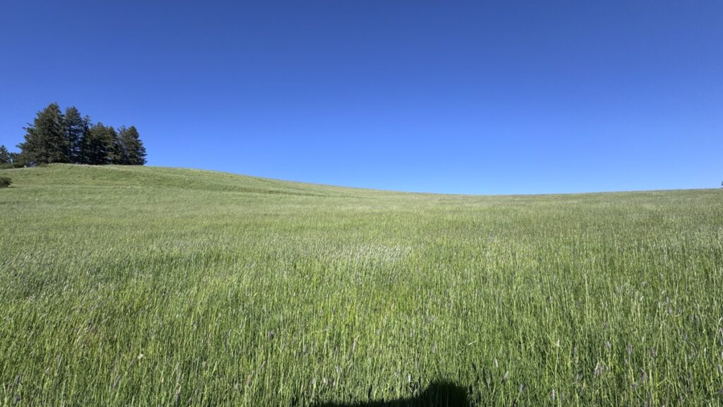 32775d98-ca98-441e-8960-2f187010481a.jpg