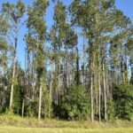 Property photo for land for sale in Hamilton County Florida