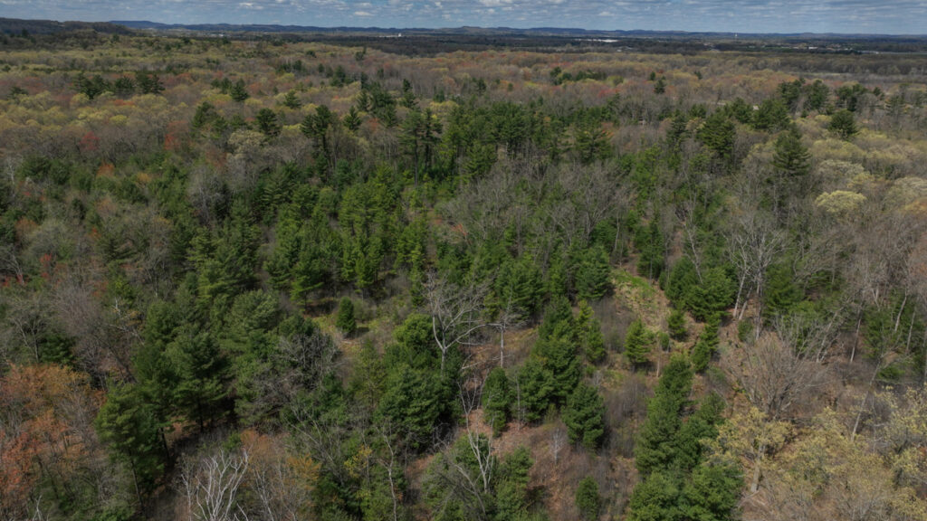32f17407-2262-4156-99c0-fceeffafdb8b.jpg