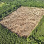 Property photo for land for sale in Columbia County Arkansas