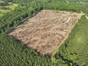Property photo for land for sale in Columbia County Arkansas
