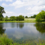 Property photo for land for sale in Creek County Oklahoma