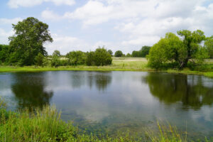 Property photo for land for sale in Creek County Oklahoma