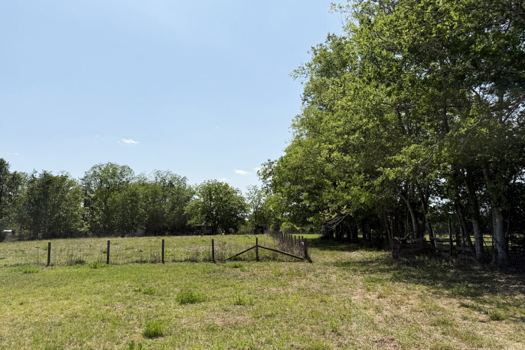 335d72e4-c54a-4248-8298-5de8cded501f.jpg