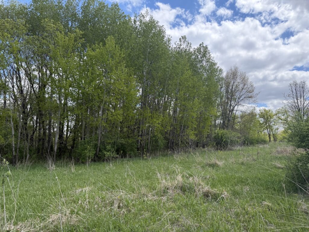 36117f0d-a0d2-4b34-985e-f47574db33c0.jpg