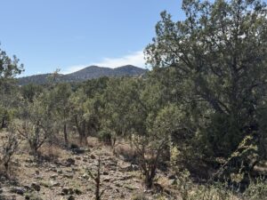 Property photo for land for sale in Yavapai County Arizona