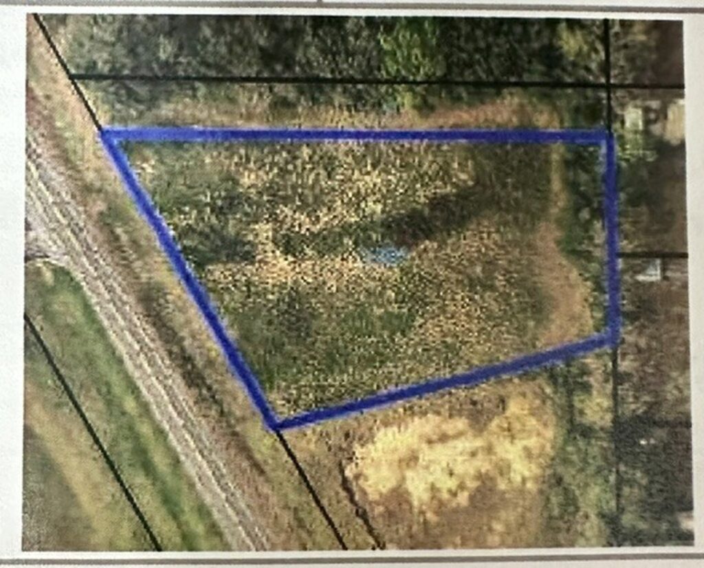 Property photo for land for sale in Geneva County Alabama