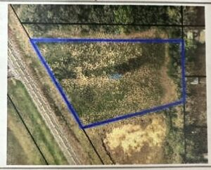 Property photo for land for sale in Geneva County Alabama