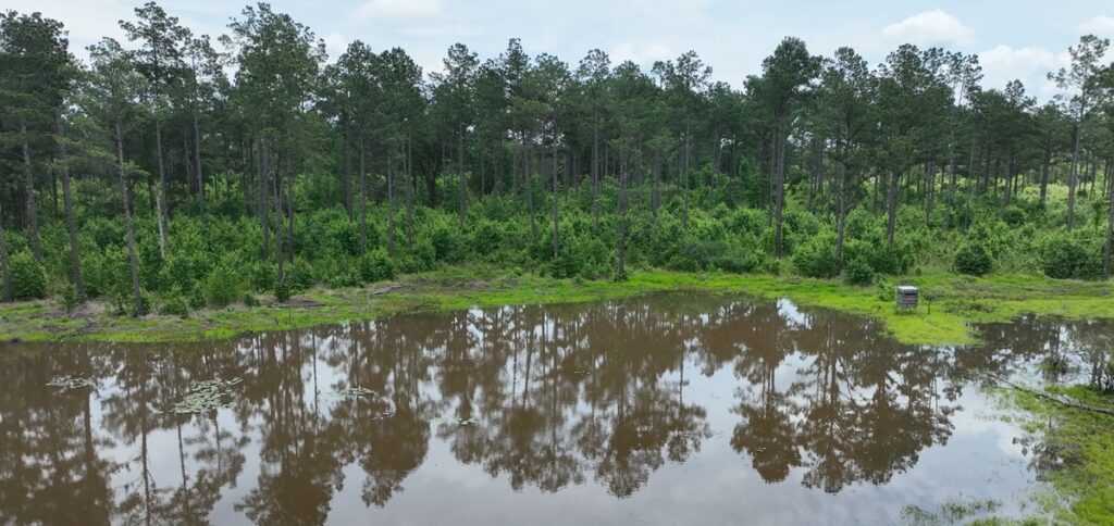 Property photo for land for sale in Cass County Texas