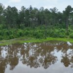Property photo for land for sale in Cass County Texas