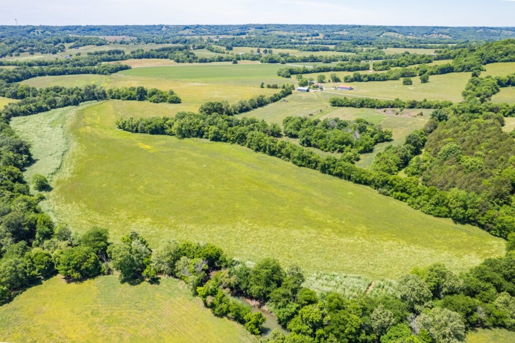 3948ca40-ea0f-47cd-9cbd-c0c5f6c92426.jpg