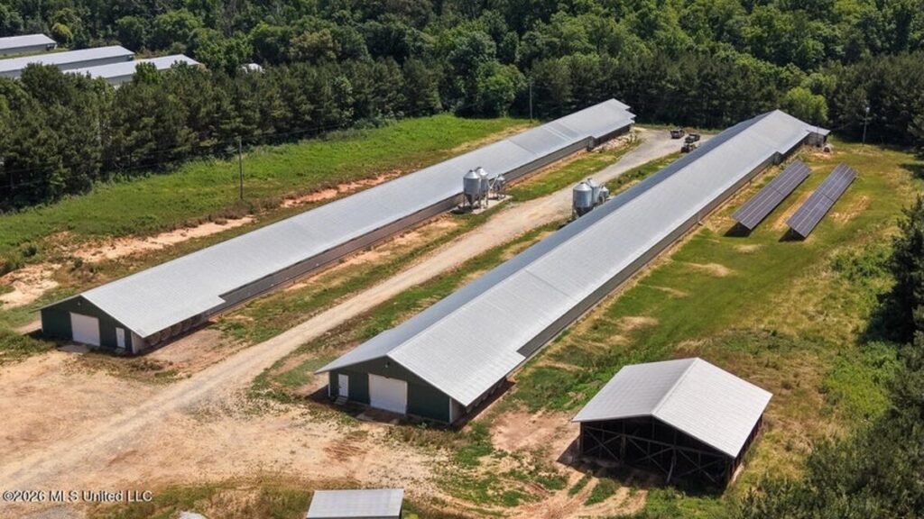 Property photo for land for sale in Scott County Mississippi