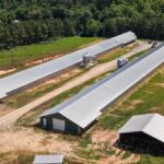 Property photo for land for sale in Scott County Mississippi