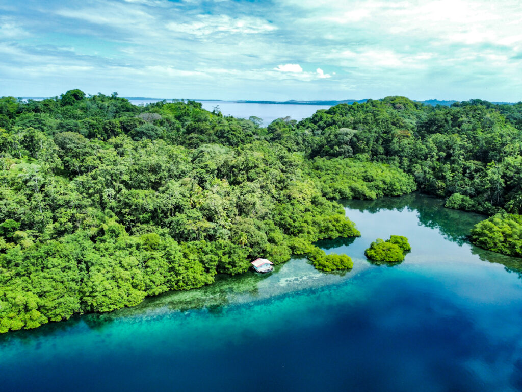 Property photo for land for sale in  County Panama