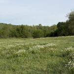 Property photo for land for sale in Delaware County Oklahoma
