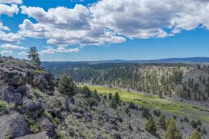 Property photo for land for sale in Harney County Oregon