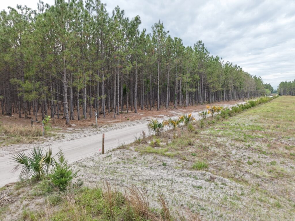 Property photo for land for sale in Lafayette County Florida