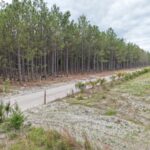 Property photo for land for sale in Lafayette County Florida