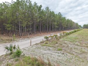 Property photo for land for sale in Lafayette County Florida