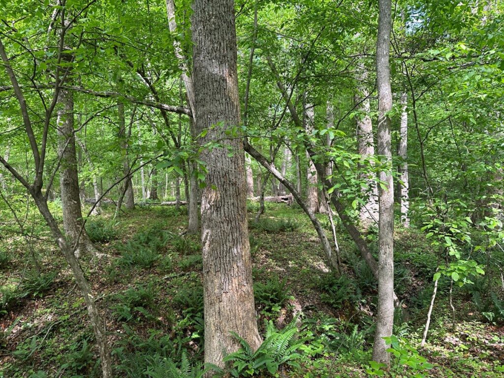 3e152ee9-54bb-497d-aaf8-4e93fe2b4695.jpg