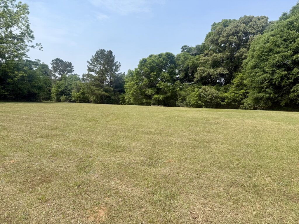 3ebf8e5b-cc26-41d0-93db-8bd47cd6f3a7.jpg