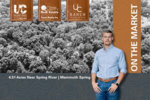 Property photo for land for sale in Fulton County Arkansas