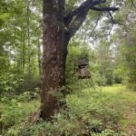 Property photo for land for sale in Amite County Mississippi