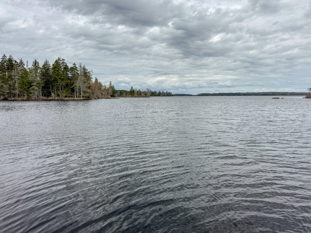 4159d814-196b-4050-8926-c7e49d6e083b.jpg