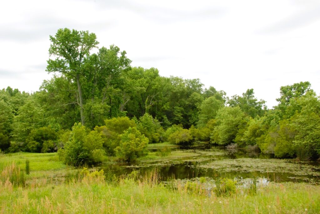 Property photo for land for sale in Smith County Texas