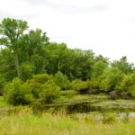 Property photo for land for sale in Smith County Texas