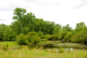 Property photo for land for sale in Smith County Texas