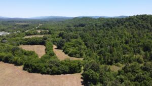 Property photo for land for sale in Marion County Tennessee