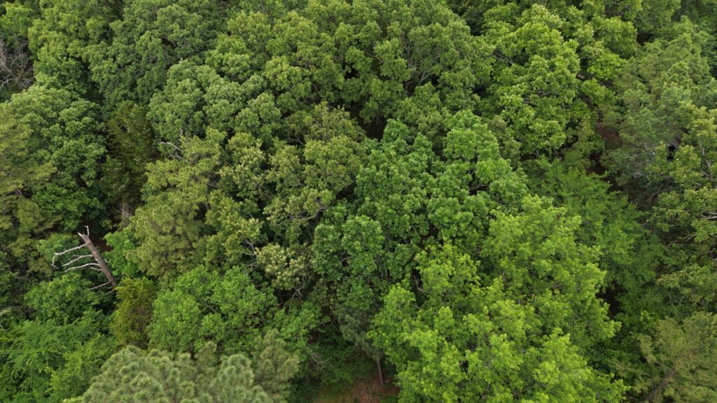 Property photo for land for sale in Latimer County Oklahoma